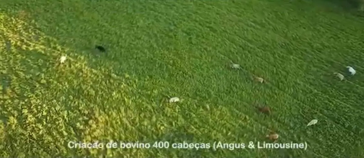Fazenda à venda de 317 ha em São Paulo, SP, Brasil