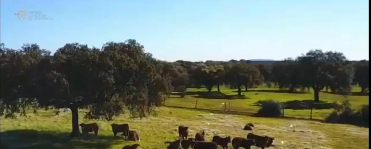 Fazenda à venda de 317 ha em São Paulo, SP, Brasil