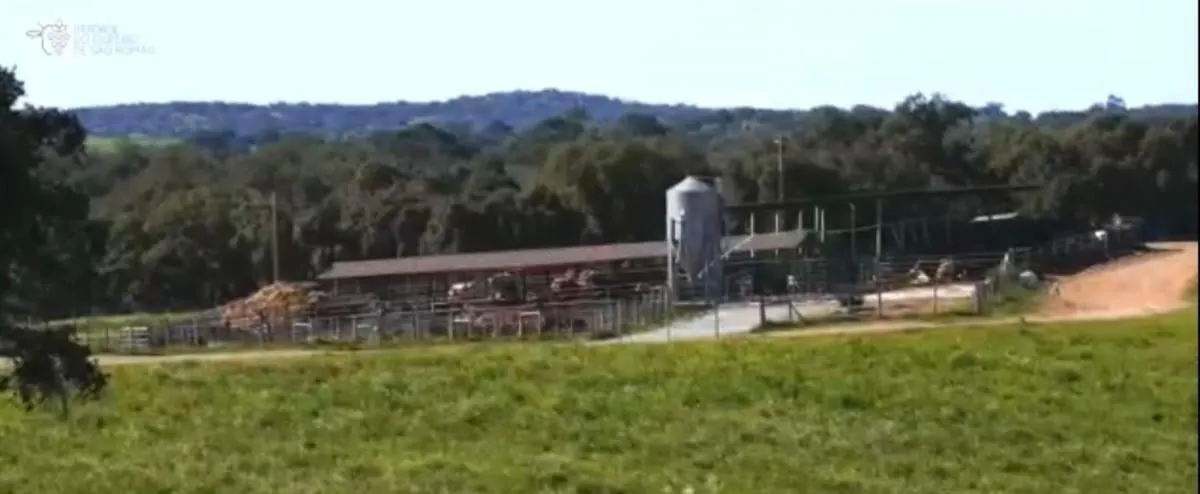 Fazenda à venda de 317 ha em São Paulo, SP, Brasil