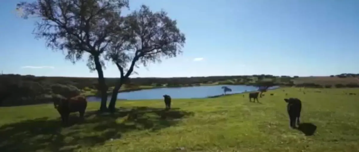 Fazenda à venda de 317 ha em São Paulo, SP, Brasil