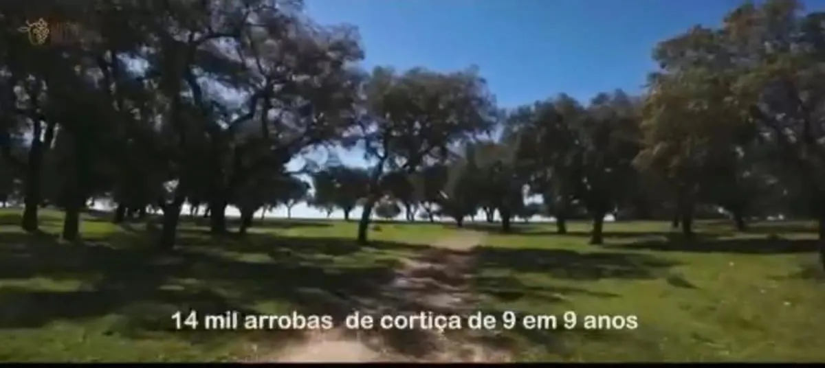 Fazenda à venda de 317 ha em São Paulo, SP, Brasil