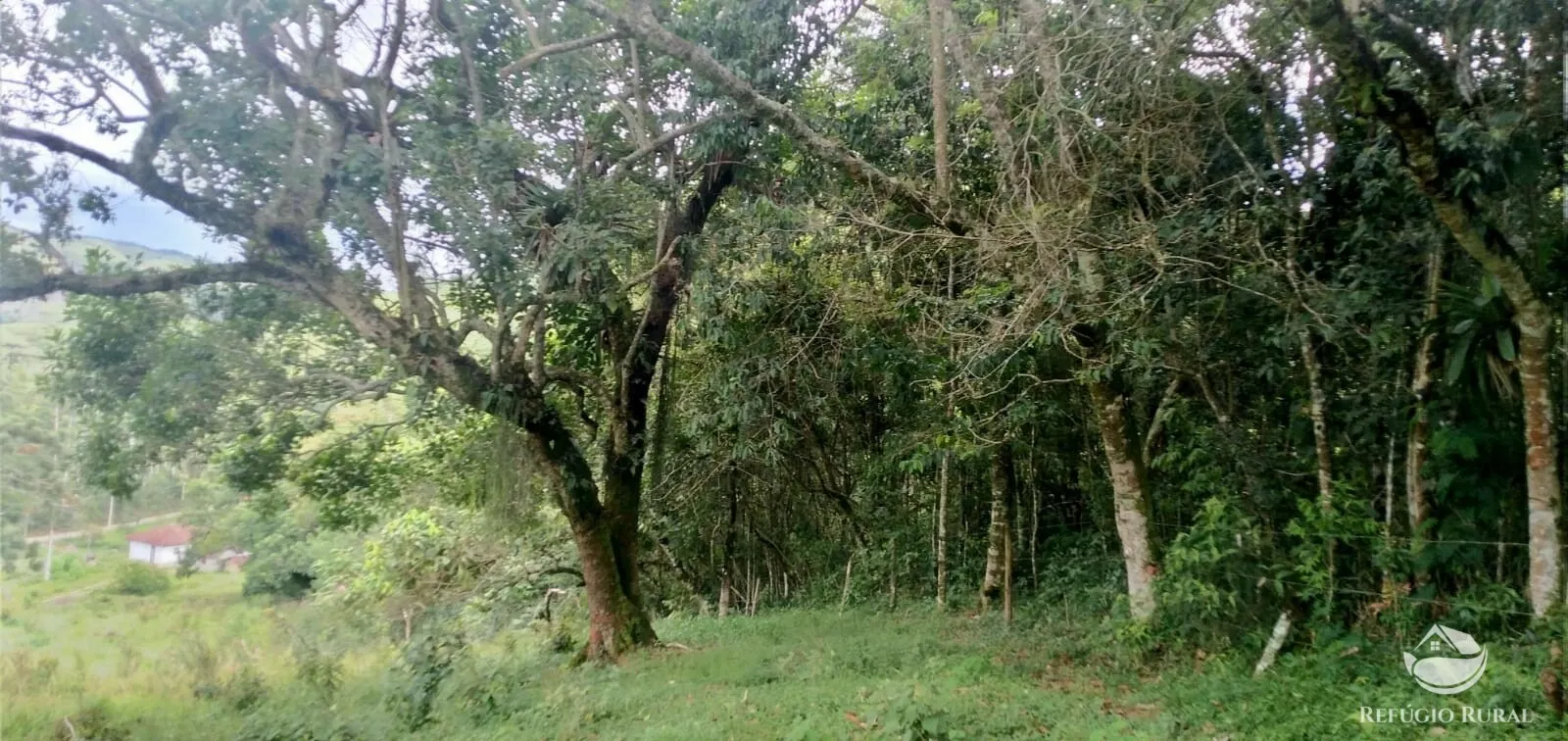 Small farm for sale of 35 acres in São José dos Campos, SP, Brazil