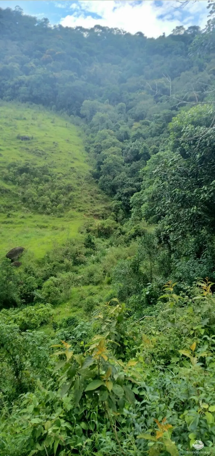 Small farm for sale of 35 acres in São José dos Campos, SP, Brazil