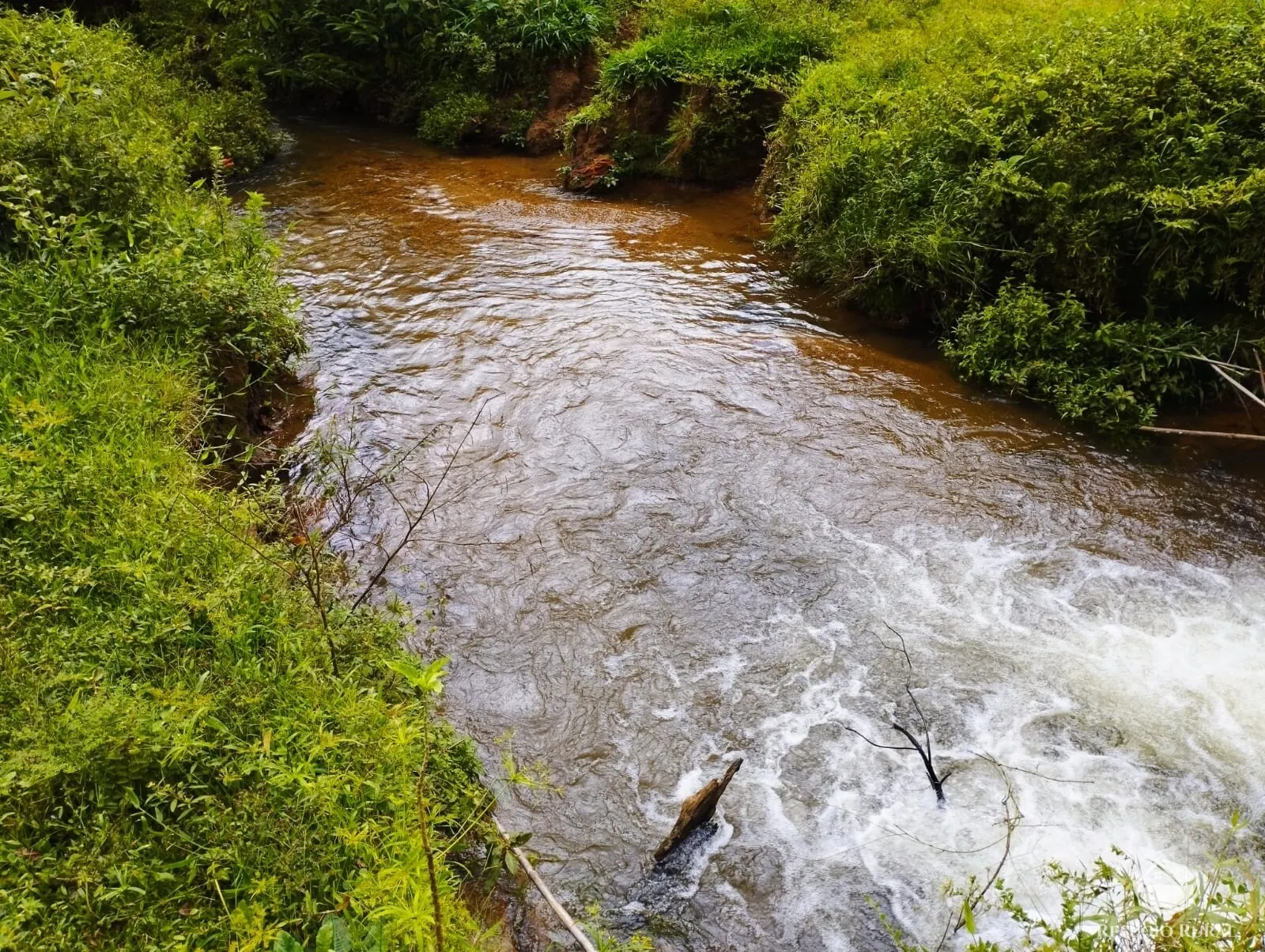 Small farm for sale of 35 acres in São José dos Campos, SP, Brazil