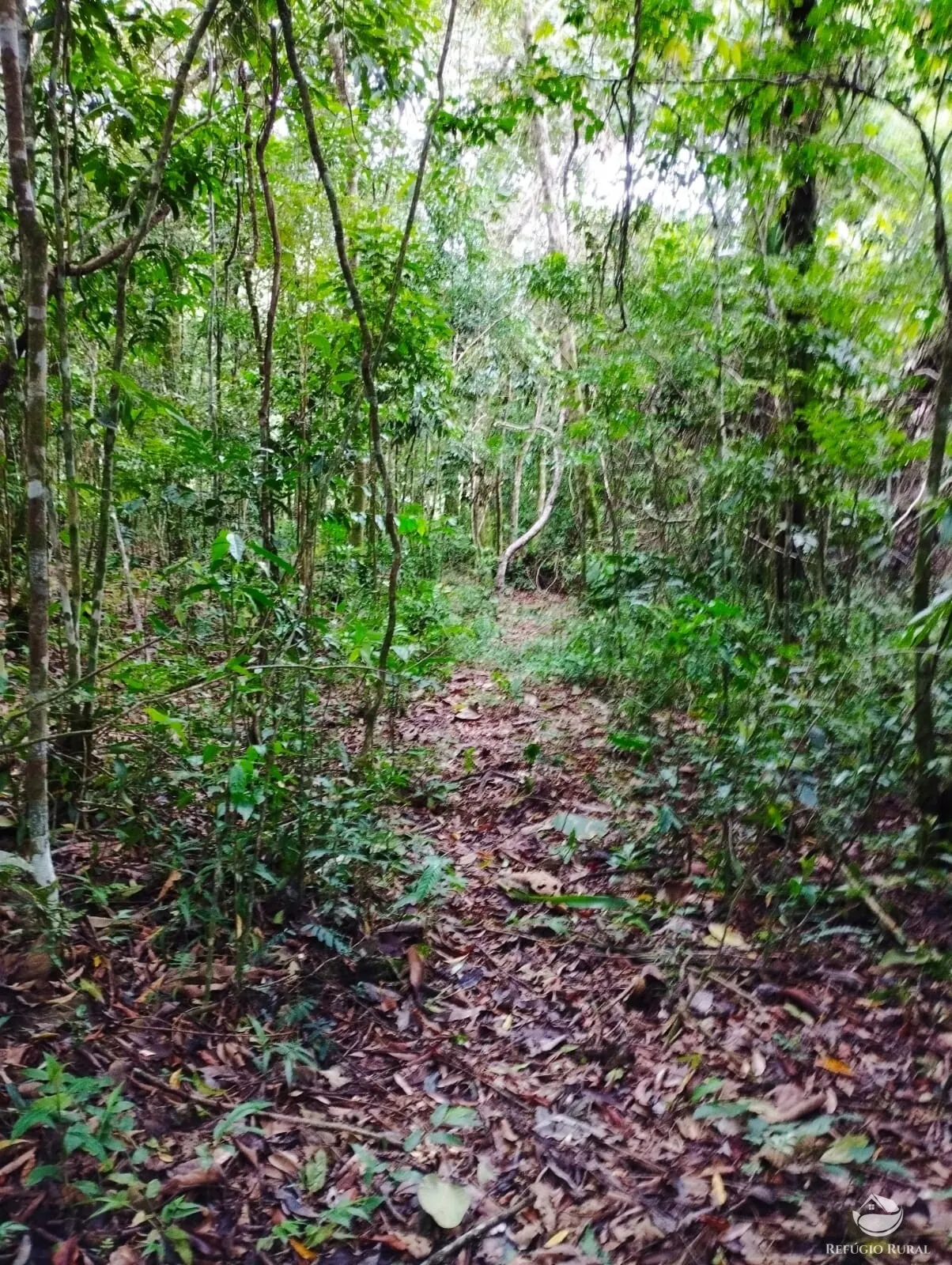 Small farm for sale of 35 acres in São José dos Campos, SP, Brazil