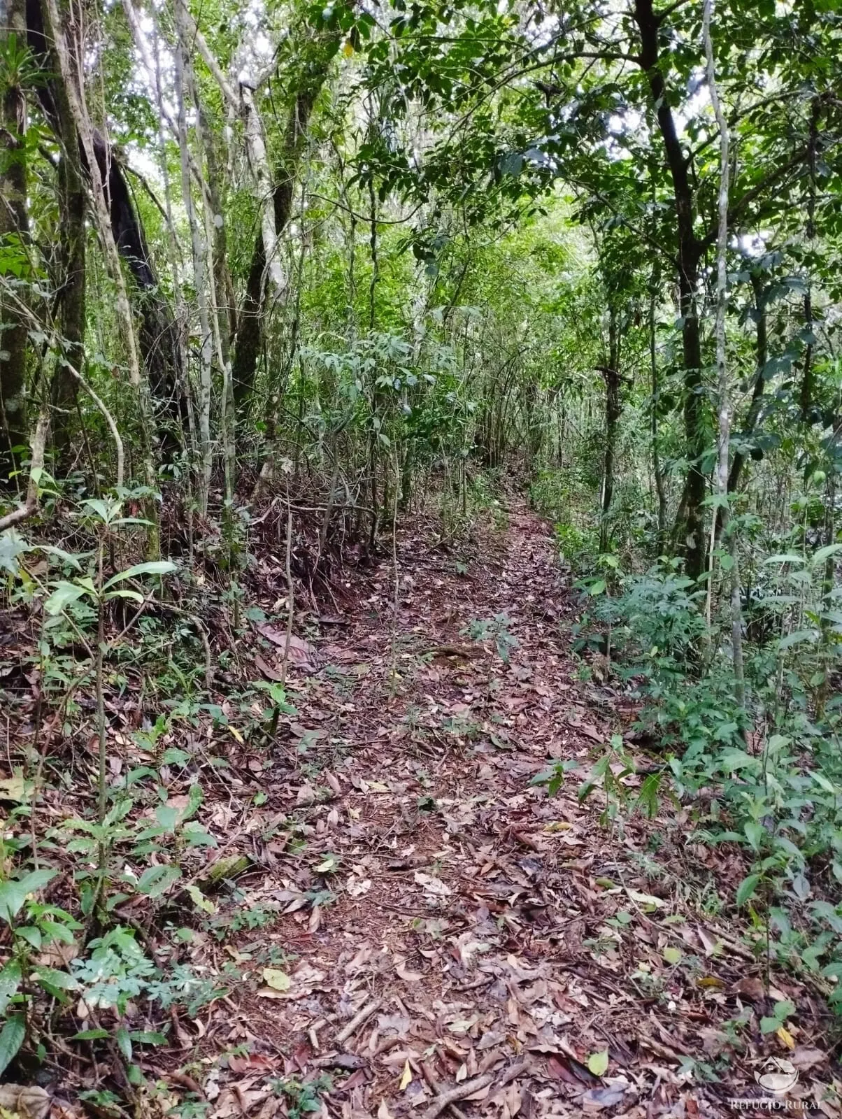 Small farm for sale of 35 acres in São José dos Campos, SP, Brazil