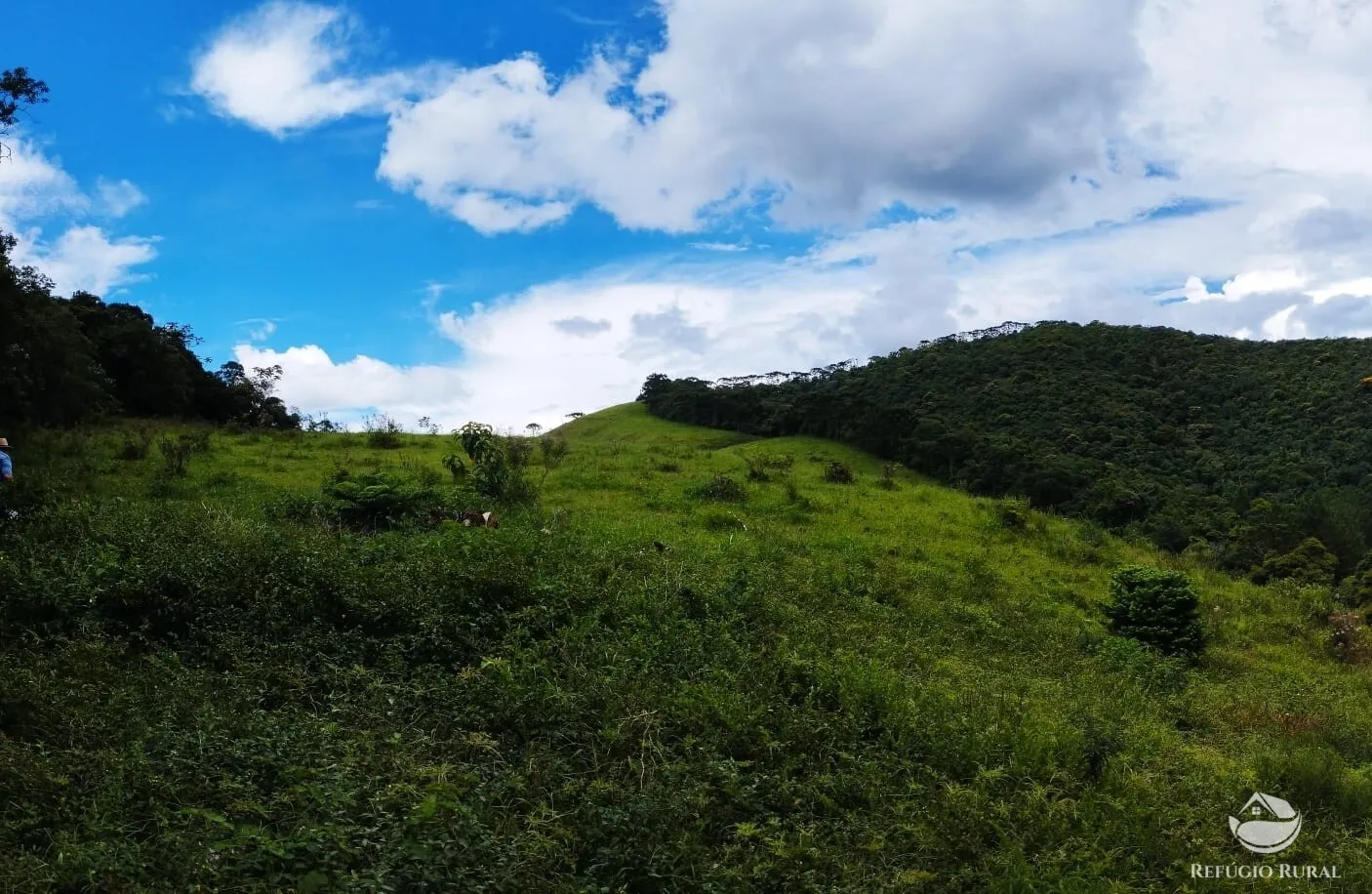 Small farm for sale of 35 acres in São José dos Campos, SP, Brazil