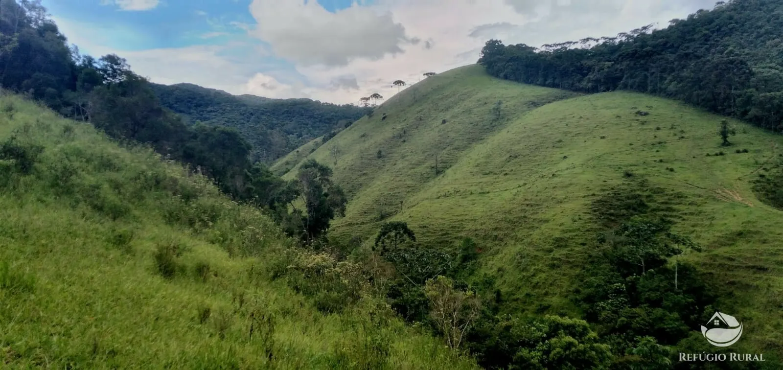 Small farm for sale of 35 acres in São José dos Campos, SP, Brazil
