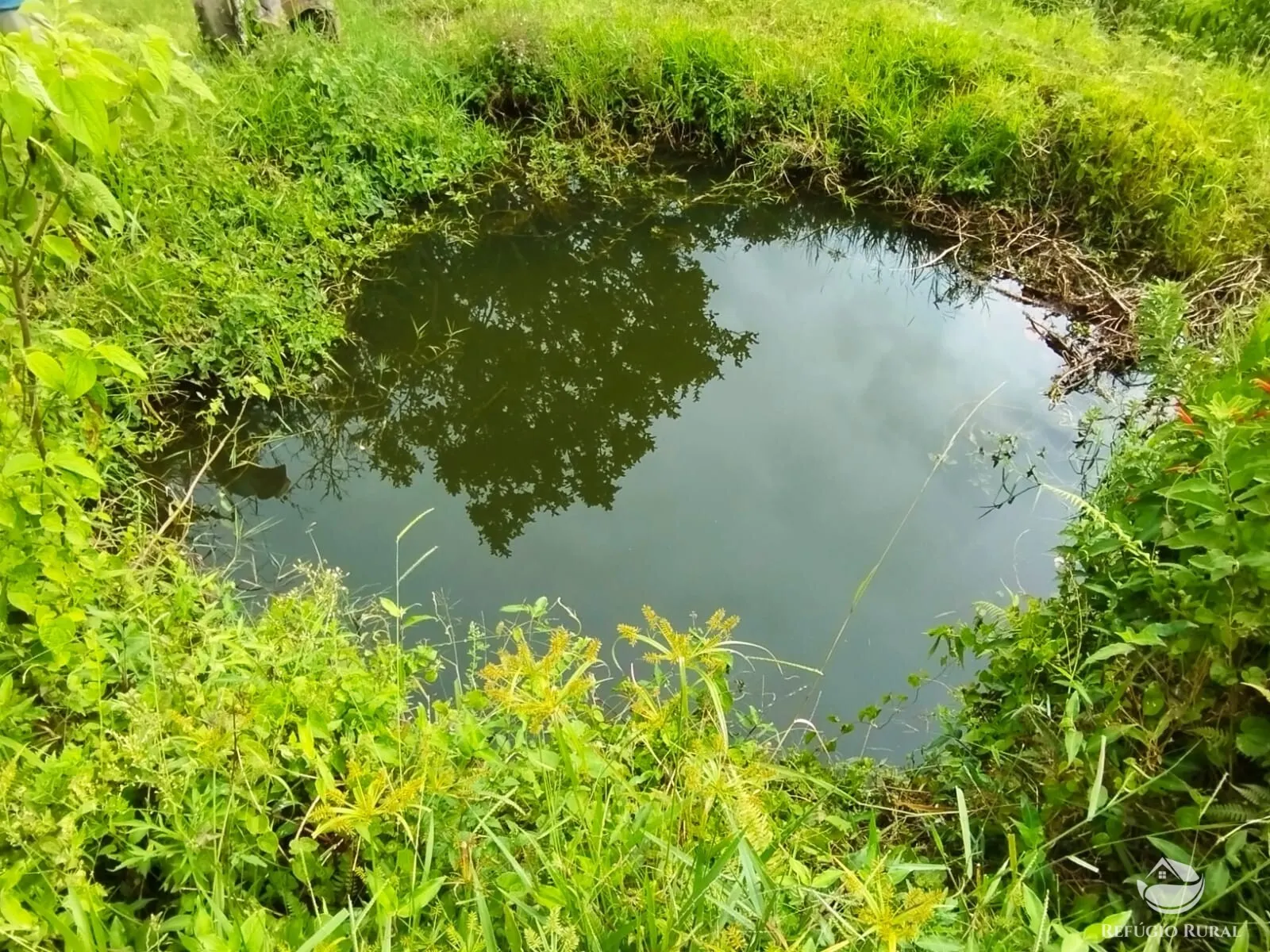 Small farm for sale of 35 acres in São José dos Campos, SP, Brazil