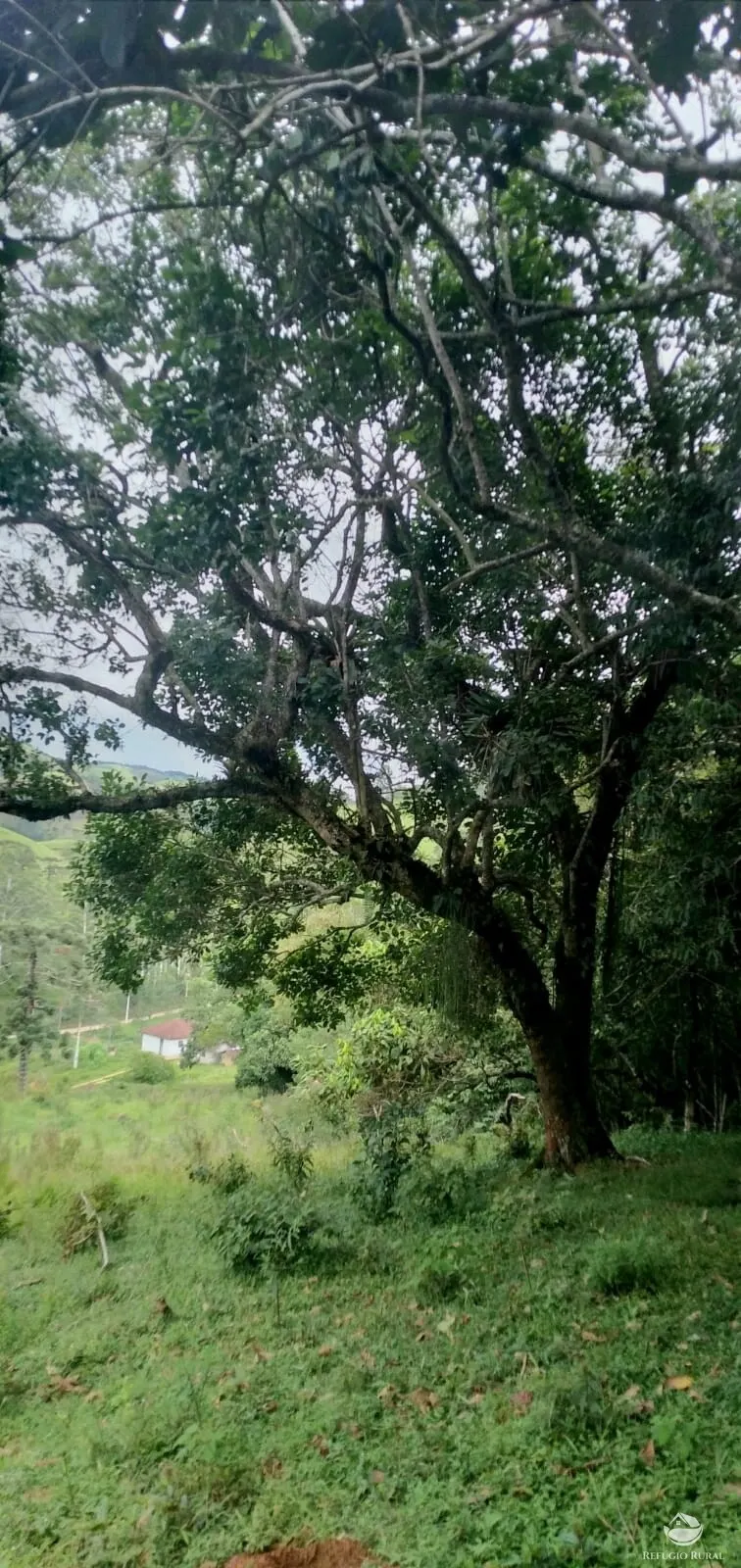Small farm for sale of 35 acres in São José dos Campos, SP, Brazil