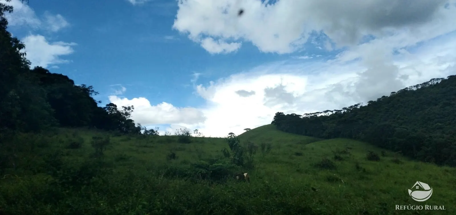 Small farm for sale of 35 acres in São José dos Campos, SP, Brazil