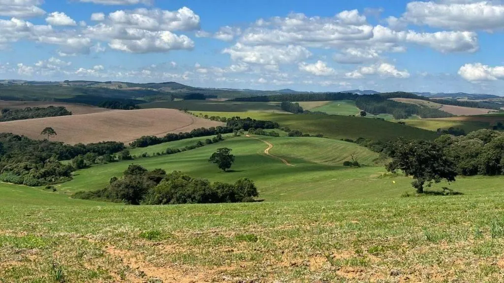Fazenda à venda de 339 ha em Ipeúna, SP, Brasil