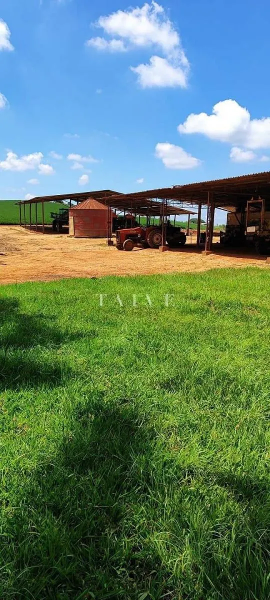 Fazenda à venda de 496 ha em Paranapanema, SP, Brasil