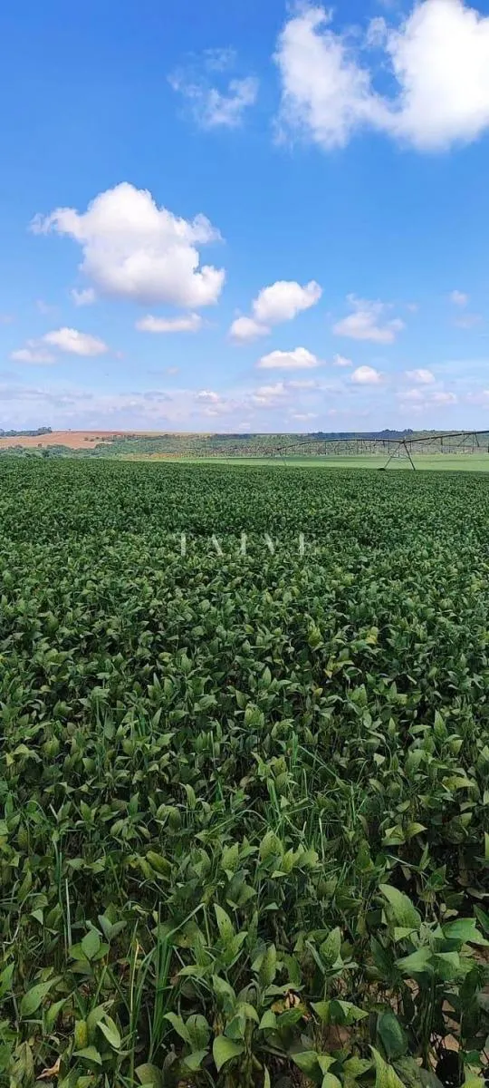 Fazenda à venda de 496 ha em Paranapanema, SP, Brasil