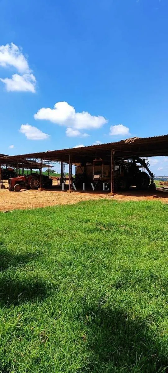 Fazenda à venda de 496 ha em Paranapanema, SP, Brasil