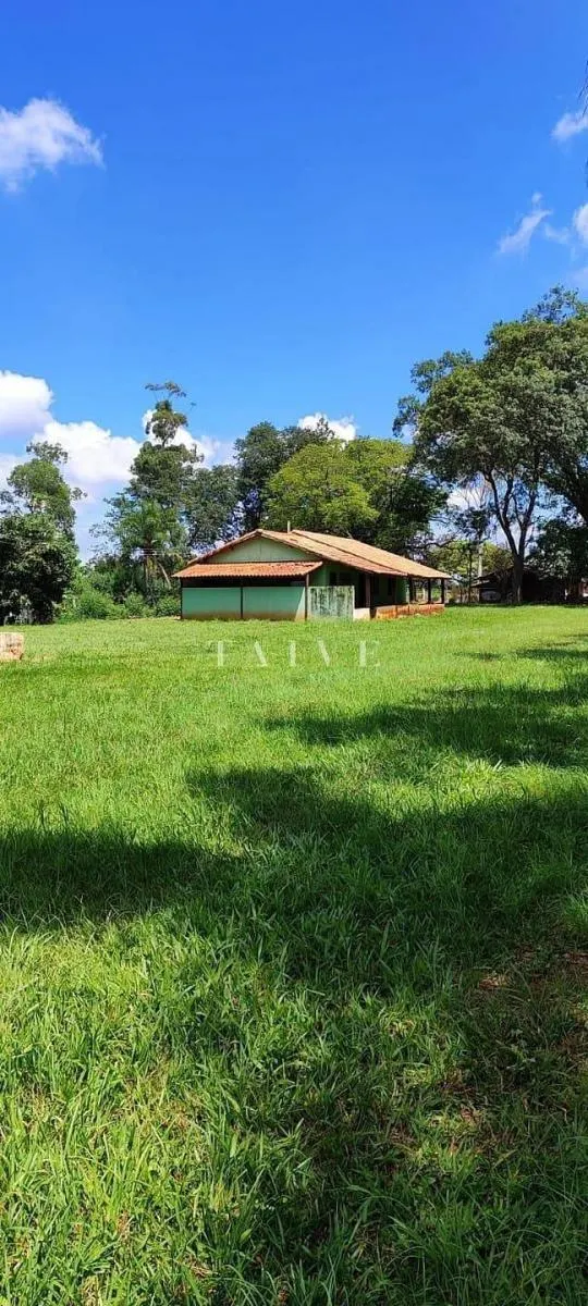 Fazenda à venda de 496 ha em Paranapanema, SP, Brasil
