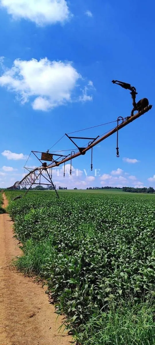 Fazenda à venda de 496 ha em Paranapanema, SP, Brasil