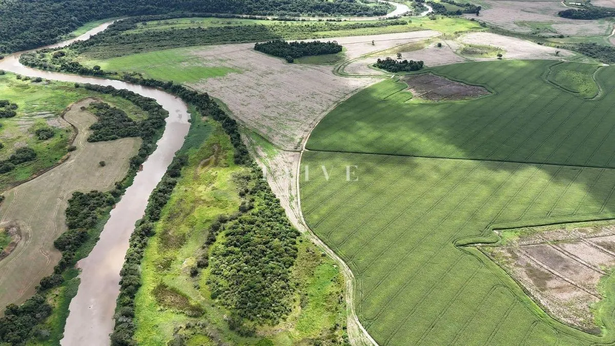 Fazenda à venda de 496 ha em Paranapanema, SP, Brasil