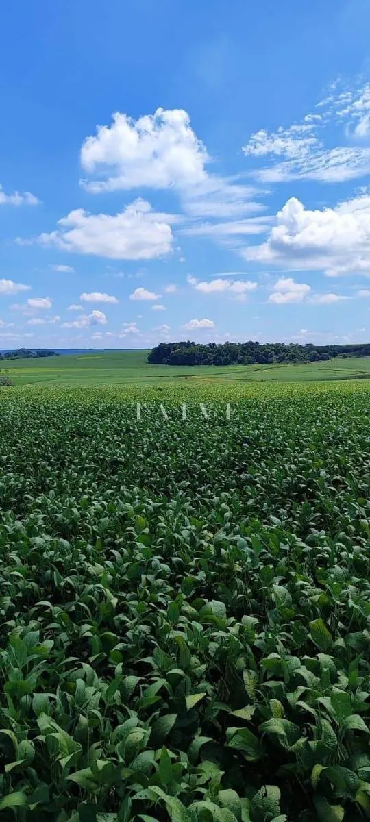 Fazenda à venda de 496 ha em Paranapanema, SP, Brasil