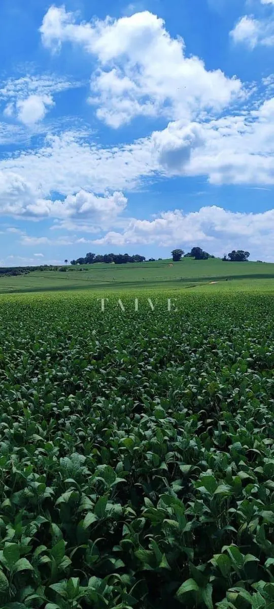 Fazenda à venda de 496 ha em Paranapanema, SP, Brasil