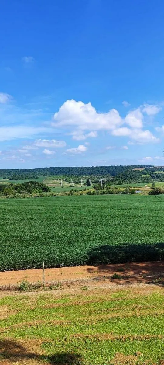 Fazenda à venda de 496 ha em Paranapanema, SP, Brasil