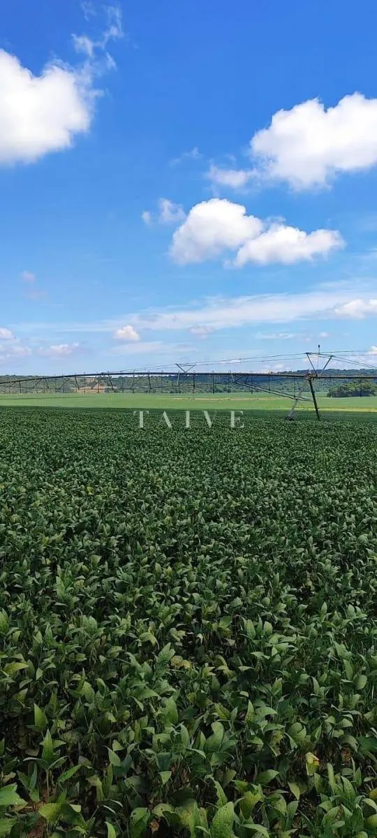 Fazenda à venda de 496 ha em Paranapanema, SP, Brasil