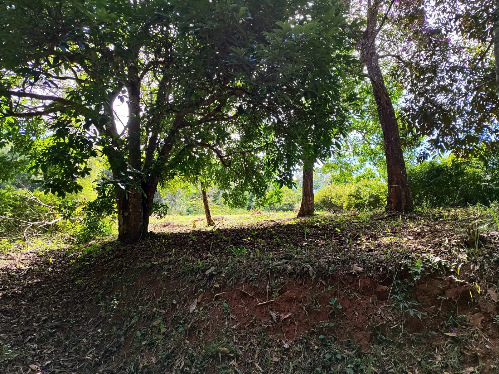 Plot for sale of 1,900 m² in Lima Duarte, MG, Brazil
