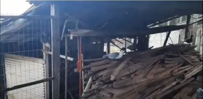 Chácara à venda de 3 ha em Taquara, RS, Brasil