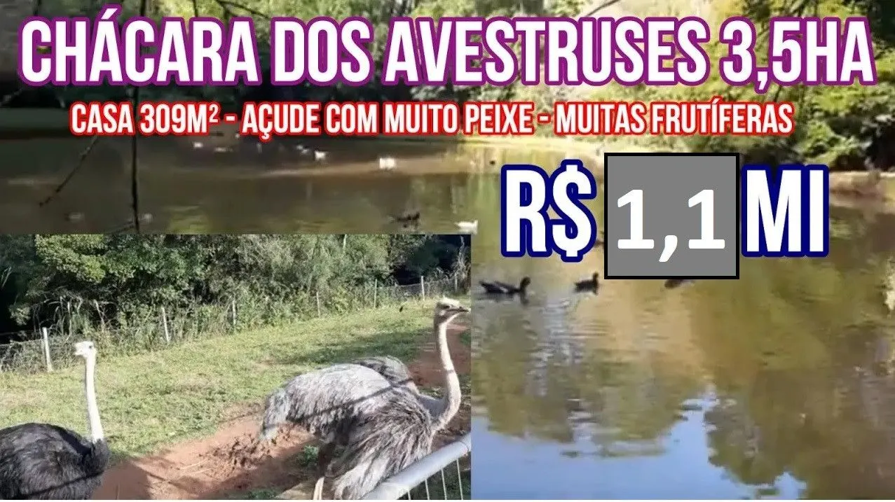 Chácara à venda de 3 ha em Taquara, RS, Brasil