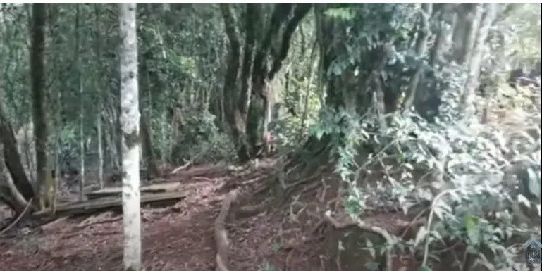 Chácara à venda de 3 ha em Taquara, RS, Brasil