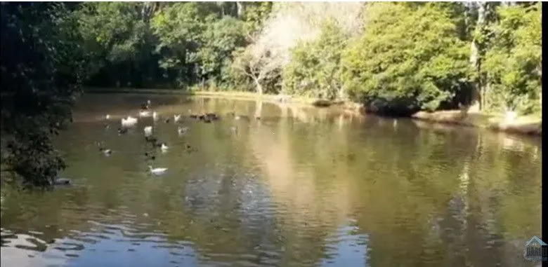 Chácara à venda de 3 ha em Taquara, RS, Brasil