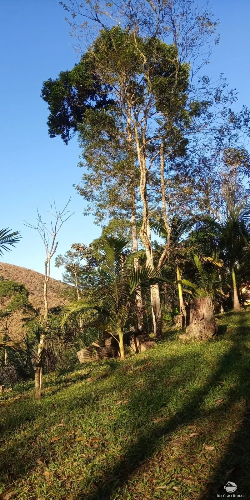 Sítio à venda de 9 ha em São José dos Campos, SP, Brasil