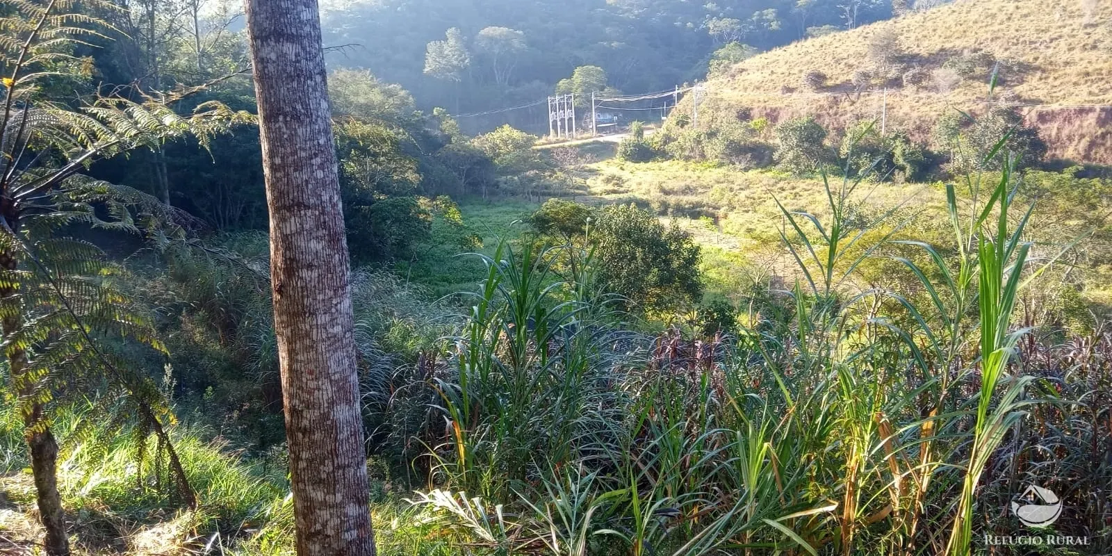 Sítio à venda de 9 ha em São José dos Campos, SP, Brasil
