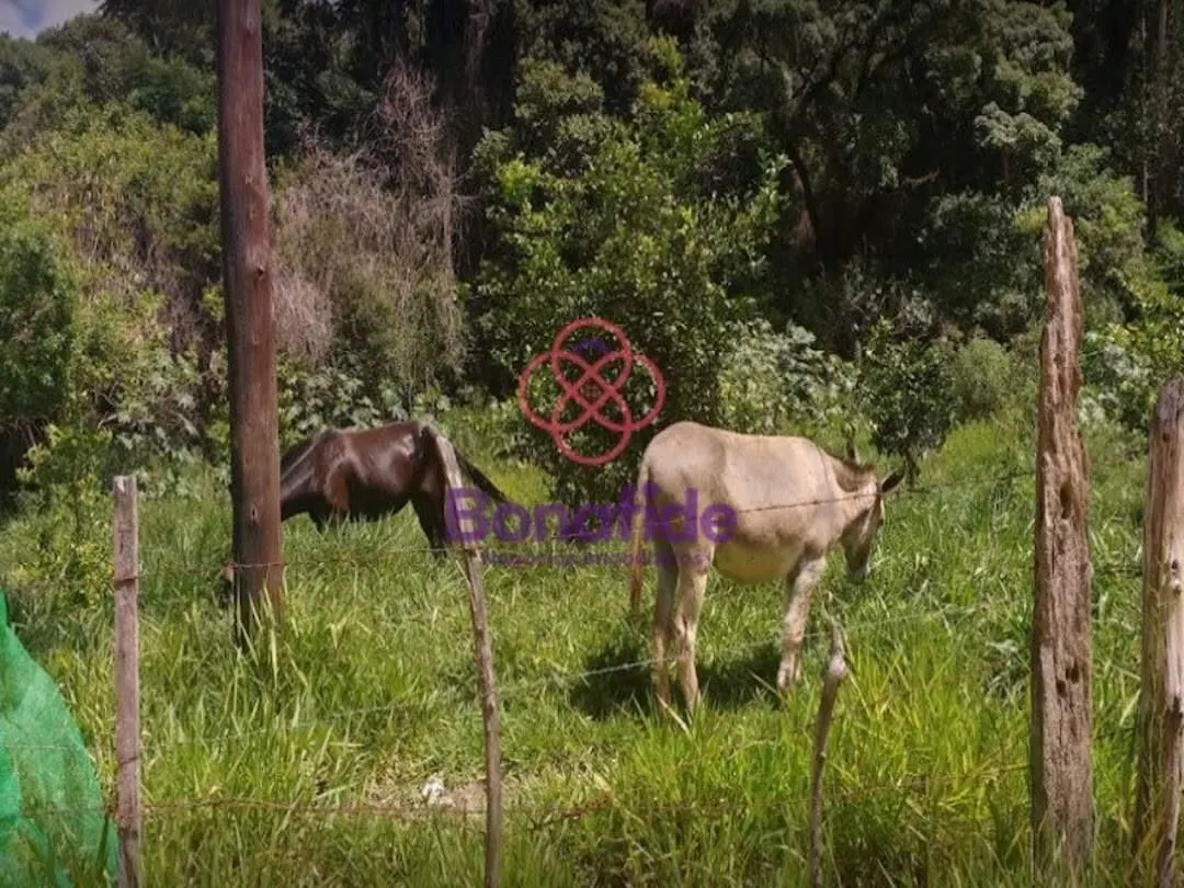 Sítio à venda de 5 ha em Itatiba, SP, Brasil
