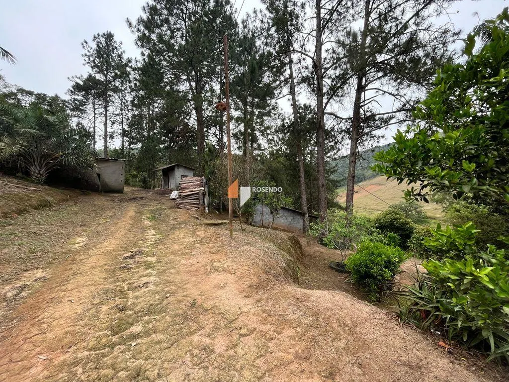 Small farm for sale of 78 acres in Biritiba-Mirim, SP, Brazil