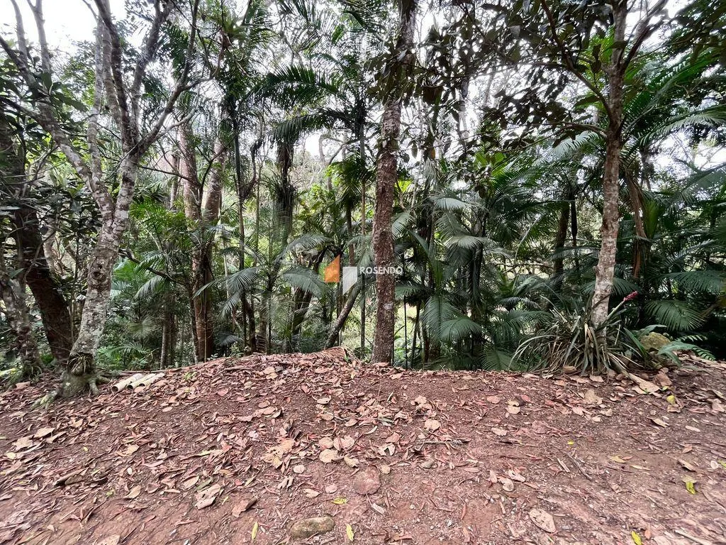 Small farm for sale of 78 acres in Biritiba-Mirim, SP, Brazil