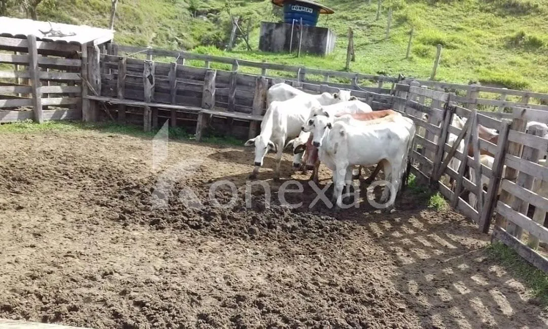 Fazenda à venda de 200 ha em Cunha, SP, Brasil