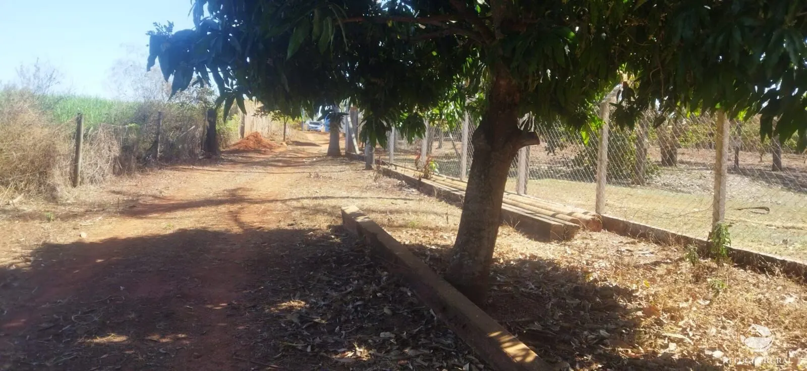 Chácara à venda de 1 ha em Frutal, MG, Brasil