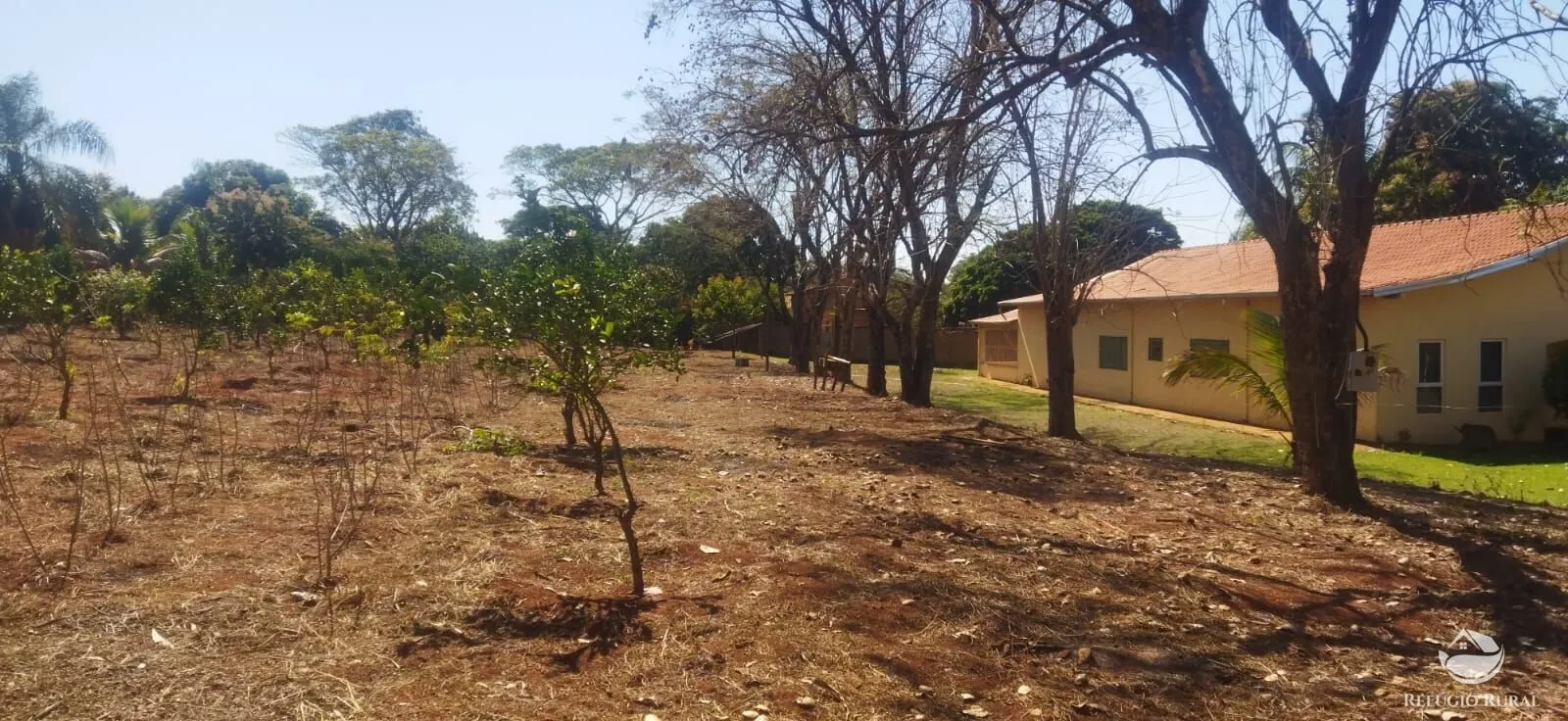 Chácara à venda de 1 ha em Frutal, MG, Brasil