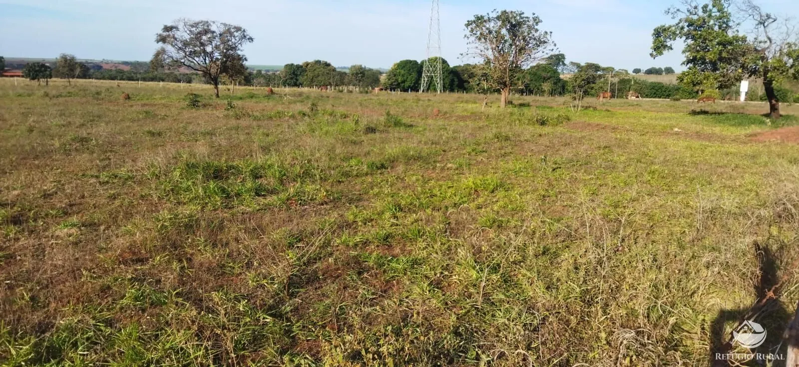 Chácara à venda de 1 ha em Frutal, MG, Brasil