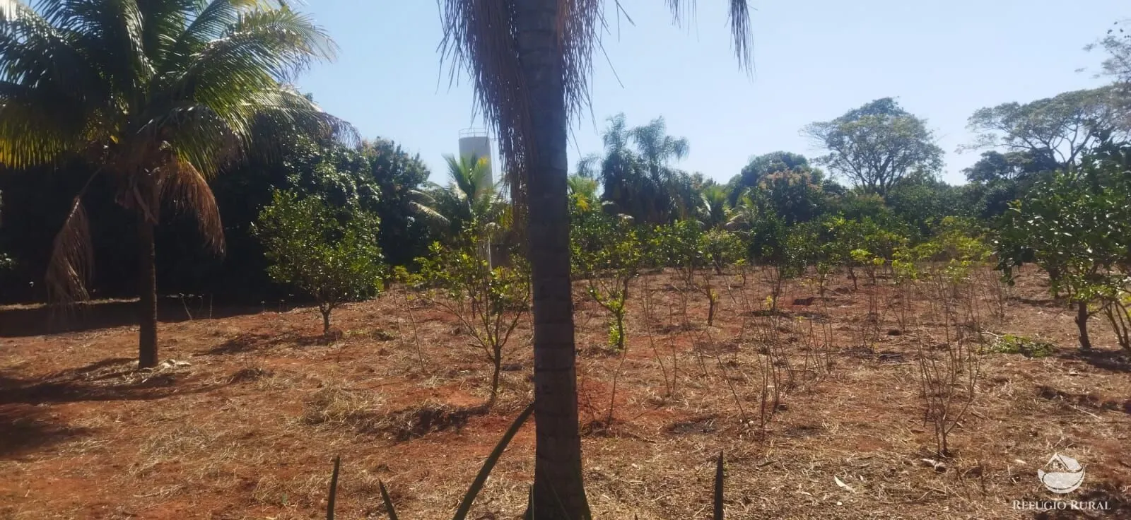Chácara à venda de 1 ha em Frutal, MG, Brasil