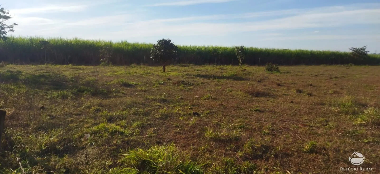 Chácara à venda de 1 ha em Frutal, MG, Brasil