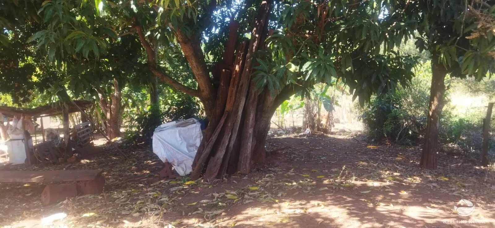 Chácara à venda de 1 ha em Frutal, MG, Brasil