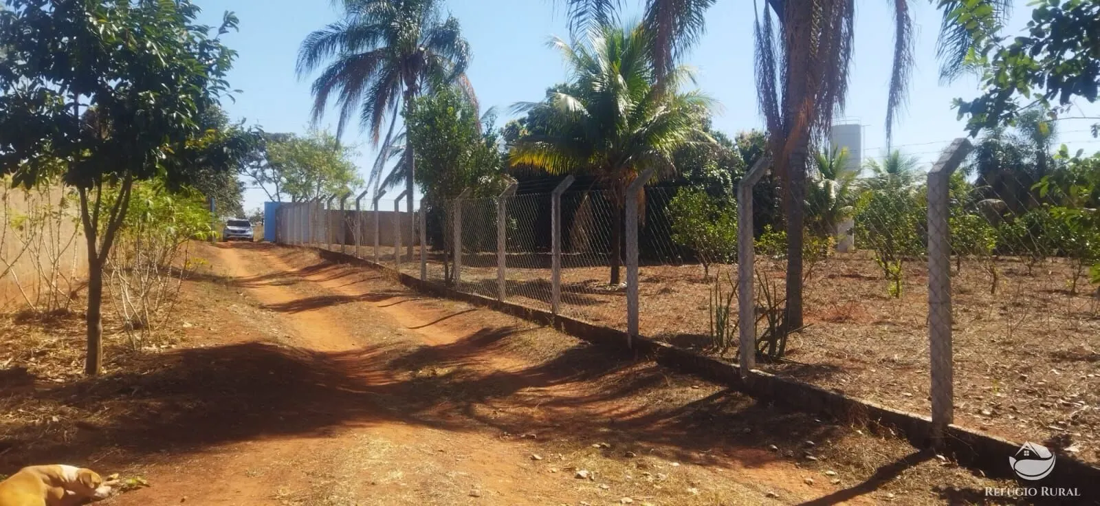 Chácara à venda de 1 ha em Frutal, MG, Brasil
