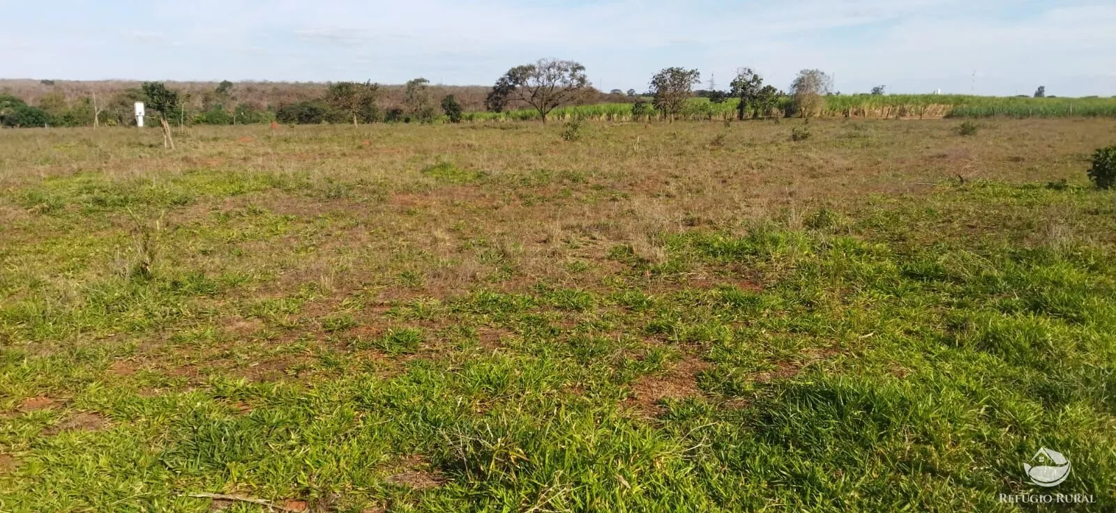Chácara à venda de 1 ha em Frutal, MG, Brasil