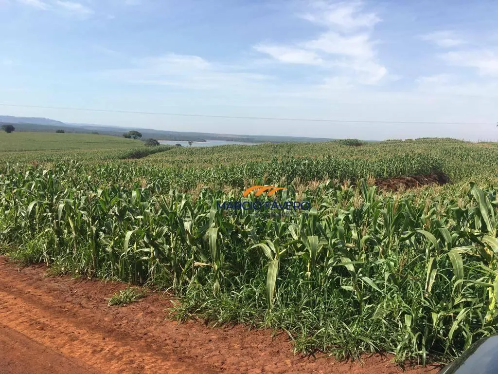 Fazenda à venda de 266 ha em Avaré, SP, Brasil