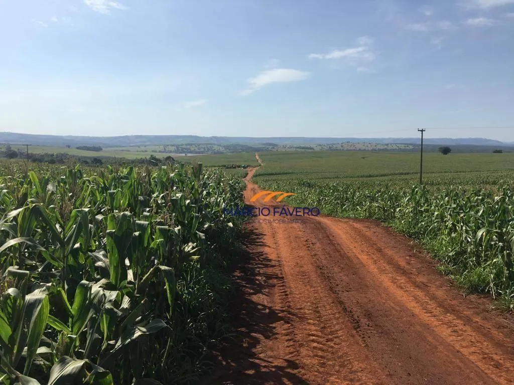 Fazenda à venda de 266 ha em Avaré, SP, Brasil