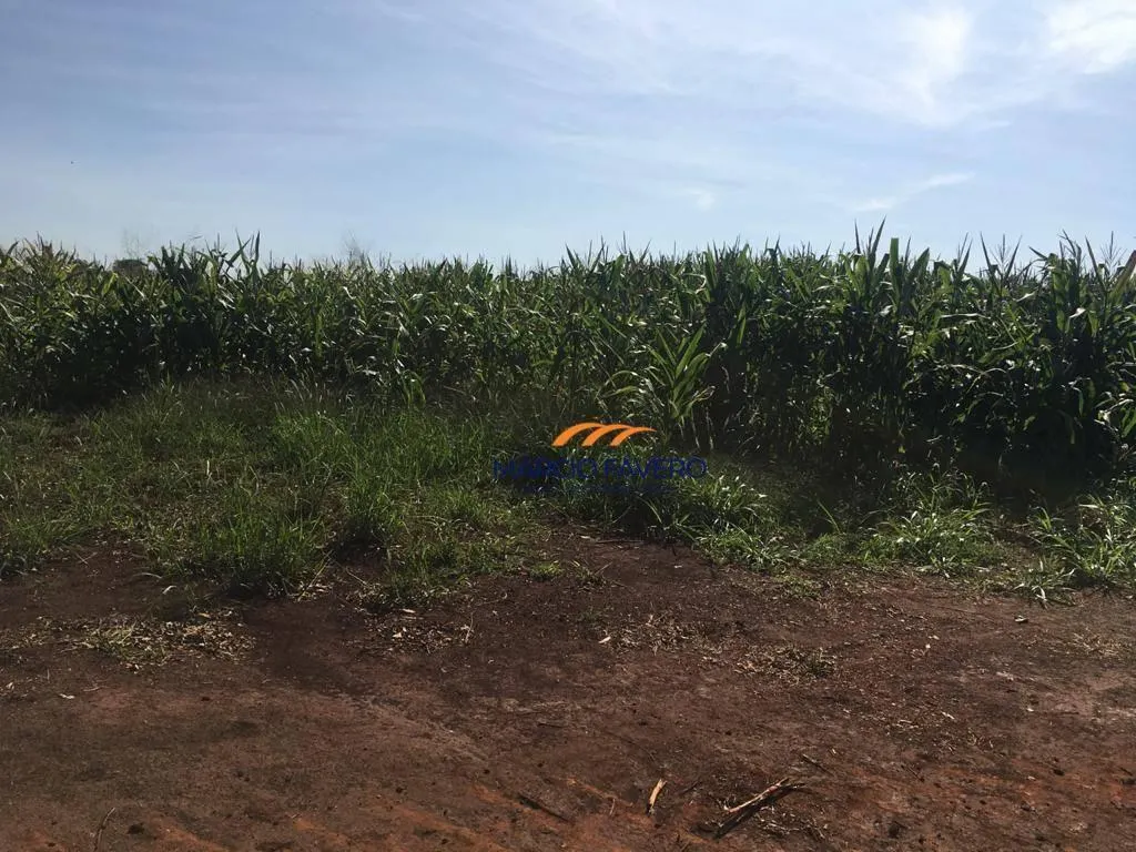 Fazenda à venda de 266 ha em Avaré, SP, Brasil