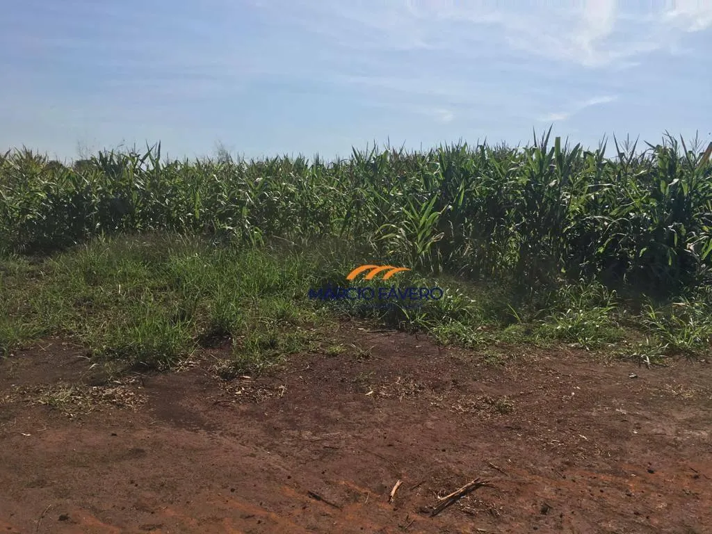 Fazenda à venda de 266 ha em Avaré, SP, Brasil