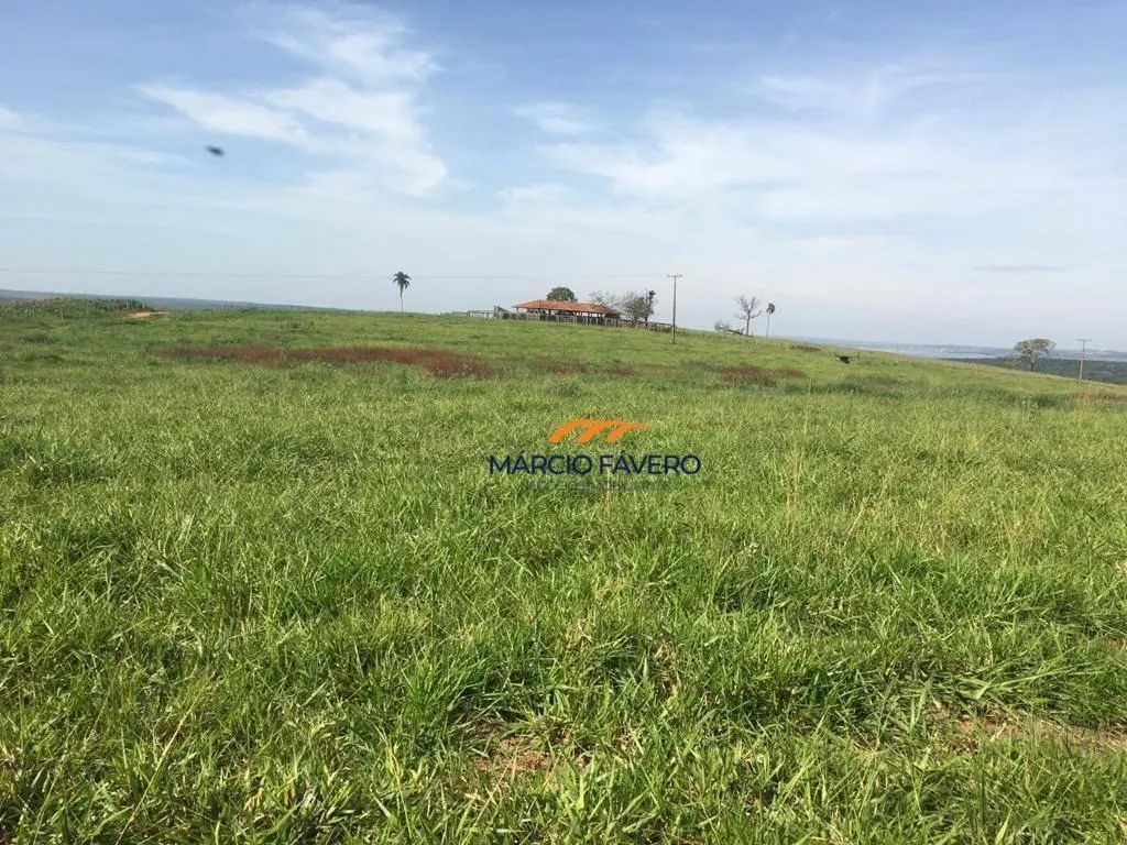 Fazenda à venda de 266 ha em Avaré, SP, Brasil
